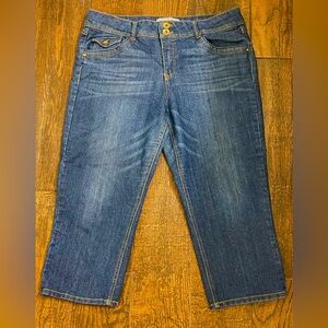 Democracy Hand Crafted Cropped Blue Denim Jeans Size 14